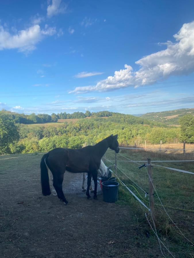 Chez Sophie - Gite Et Gite Equestre Clermont-Dessous Ngoại thất bức ảnh